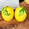 Lemon Salt and Pepper Pots Yellow Ceramic Kitchen Colourful Fruit