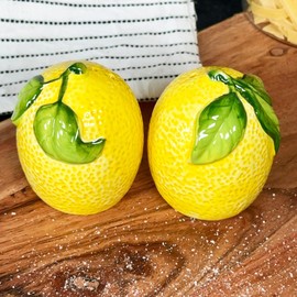 Lemon Salt and Pepper Pots Yellow Ceramic Kitchen Colourful Fruit Cruet Shakers