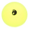 GAMMA Librarian Foam Pickleball Balls, Foam Balls for Pickleball Practice