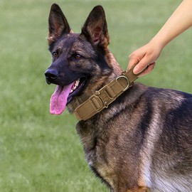 Tactical Dog Collar and Leash Set Adjustable Nylon Military Dog Collar with Control Handle Heavy Duty Metal Buckle and Bungee Leash for Dog Training (Medium, Khaki)