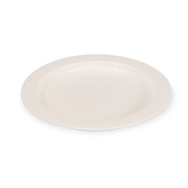 AFH Plate with Rim Everyday Aid Eating Aid