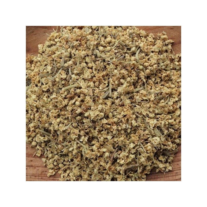 Elder Flower Tea 0.3 oz (10 g) (Postal Compatible Size)