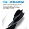 Brad Point Wood Drill Bit Set 3/16 Inch 40Pcs Spur