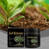 Soil Pro Activator,200G Soil Activator for Plants,Soilactivator for Fruit Trees-Promotes
