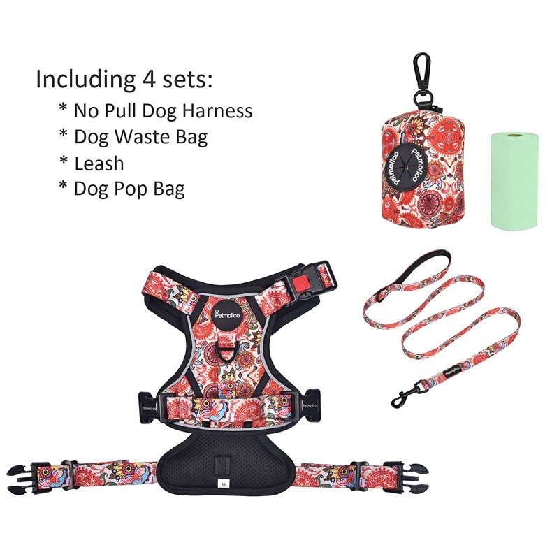 Petmolico No Pull Dog Harness Set, 2 Leash Attchment Easy
