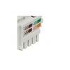 Jack Keystone Cat6 RJ45 UTP Blanco De Impacto 8P8C Para
