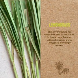 Biogreen | Home Fragrance Lemongrass | Botanical Soul | Spray for Pillow | Linen Mist and Frabic Spray | Aromatherapy | 11.1 Ounce | Odor Absorbers for Home | Safer Odor Relief |