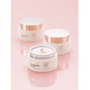 Cellology [Rose PDRN Wrinkle Cream] Cellneumer Cream 50ml / [장미