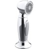 KOHLER K-10101-CP Accent Sidespray Faucets, Polished Chrome