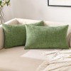 EMEMA Pack of 2 Soft Chenille Throw Pillow Covers 12x20