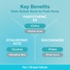 Numbuzin [Numbuzin]No.1 Pantothenic B5 Hyaluronic Active Clear Mask (5ea)