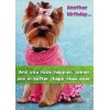 Designer Greetings Yorkshire Terrier Happier Sexier Better Shape Funny Dog