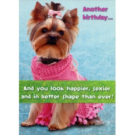 Designer Greetings Yorkshire Terrier  Happier Sexier Better Shape Funny Dog Risque Birthday Card