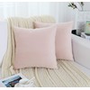 Jeneoo Set of 2 Cozy Soft Velvet Throw Pillow Cases