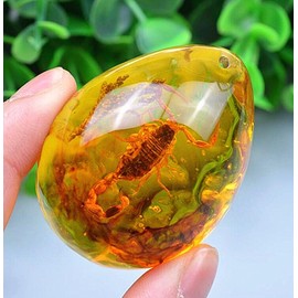 EatingBiting Resin Amber Insect Pendant Scorpion Fossil Stone Crystal Home Decoration Samples Stones Specimens Home Decorations Collection Oval