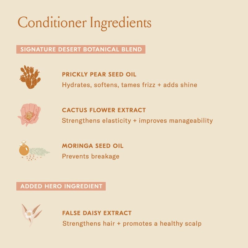 DAE Signature Duo Set (Shampoo & Conditioner) | DAE