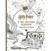 Harry potter y su mundo mágico: Libro para colorear