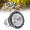 Turtle Basking Light Bulb UVA UVB Concave and Convex Mirror