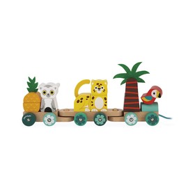 Janod - Tropical Pull-Along Train Tropic - Wooden Pull Along Toy - 11 Pieces + 3 Carriages - Educational Game Motor Skills + Hand Eye Coordination - FSC Certified - Watercolours - From 1 Year, J08272