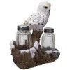 Pacific Giftware Snowy Owl Perching On Tree Branch Spiritual Realistic