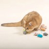 Rouly Cat Toy, Play Alone, Prevent Loneliness, Brush Teeth, Relieve