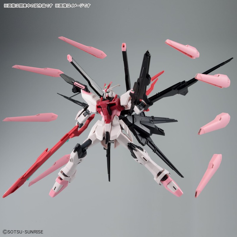 HG Gundam Build Metaverse Gundam Perfect Strike Freedom Rouge 1/144