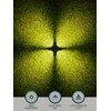 LEONLITE Low Voltage Path Lights, 3W LED Landscape Pathway Lights,