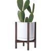 D'vine Dev Ceramic Planter with Walnut Color Stand - 12