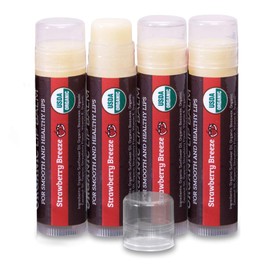 Earth's Daughter USDA Organic Lip Balm 4-Pack by Earth's Daughter - Strawberry Flavor, Beeswax, Coconut Oil, Vitamin E - Best Lip Repair Chapstick for Dry Cracked Lips.