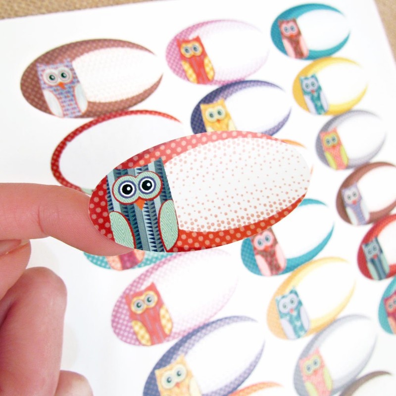 81 Cute Owl Poly Weatherproof Kitchen Freezer or Aromatherapy Bottle