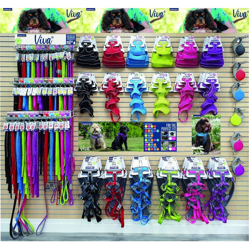 Ancol Viva Adjustable Collar Black, Size 2-5/Medium, Fits neck 30-50