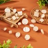 PandaHall 36pcs Wood Stud Earring Findings Teardrop Flat Round Rhombus