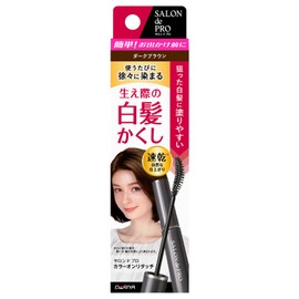 Salon de Pro Color Touch-up For Gray Hair, EX 0.6 fl oz (15 ml)