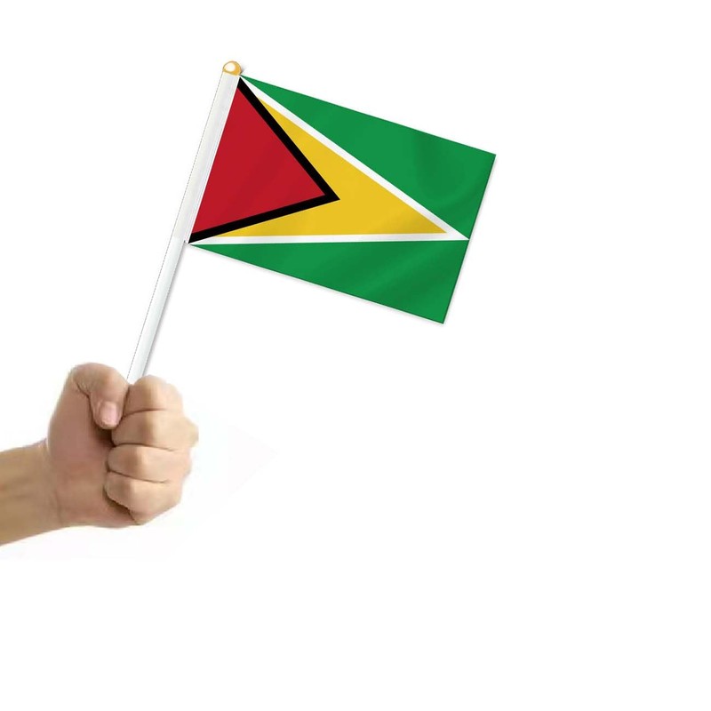 10 PCS Guyana Handheld Small Flag, Guyanese Hand held Mini