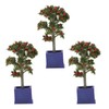 SPYMINNPOO Miniature Dollhouse Plants, 3 Pieces, Miniature Trees, Artificial Fruit