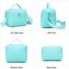 NOL Natural Organic Lifestyle Insulated Lunch Bags for Women Cooler