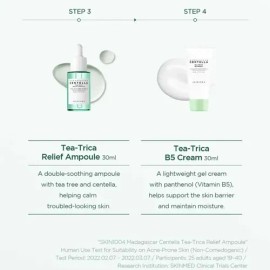 Skin1004 Tea-trica Travel Kit - 4 Piezas Minis