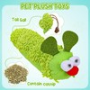 Cat Catnip Toys Set with 1 Caterpillar Cat Toy, 2