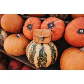 Gusti Chapal Belt Bag 2g40-48-5 Brown