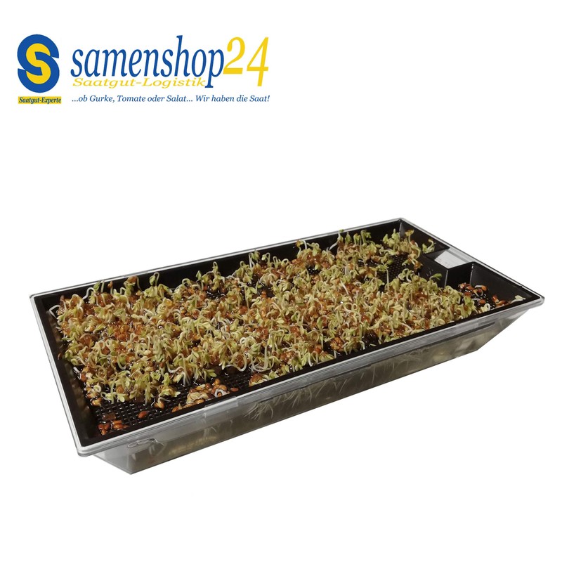 Samenshop24® Organic Cultivation Set (The Original)