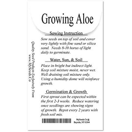 20 x Aloe Seeds Mix - Excellent House Plants Succulent for Greenhouse, Indoor Home - Includes Aloe Vera - by MySeeds.Co