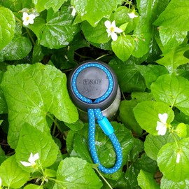 Zoku Vacuum Insulated Stainless Steel Bottle, 350ml, Silver