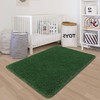Fluffy Rugs for Bedroom Living Room 3x5 Green Shaggy Area