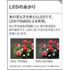 Panasonic LED Bracket, Direct Wall Mount, Angle Type, Neutral White