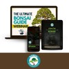 Bonsai Tree Food | Liquid Fertilizer for Bonsai Trees -