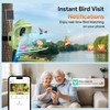 Osoeri Smart Bird Feeder with Camera – AI Bird Recognition,