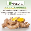 NICHIGA(ニチガ) 沖縄県産 春ウコン 粒 150ｇ 約750粒 栽培期間中農薬不使用 クルクミン ミネラル豊富 約75日分
