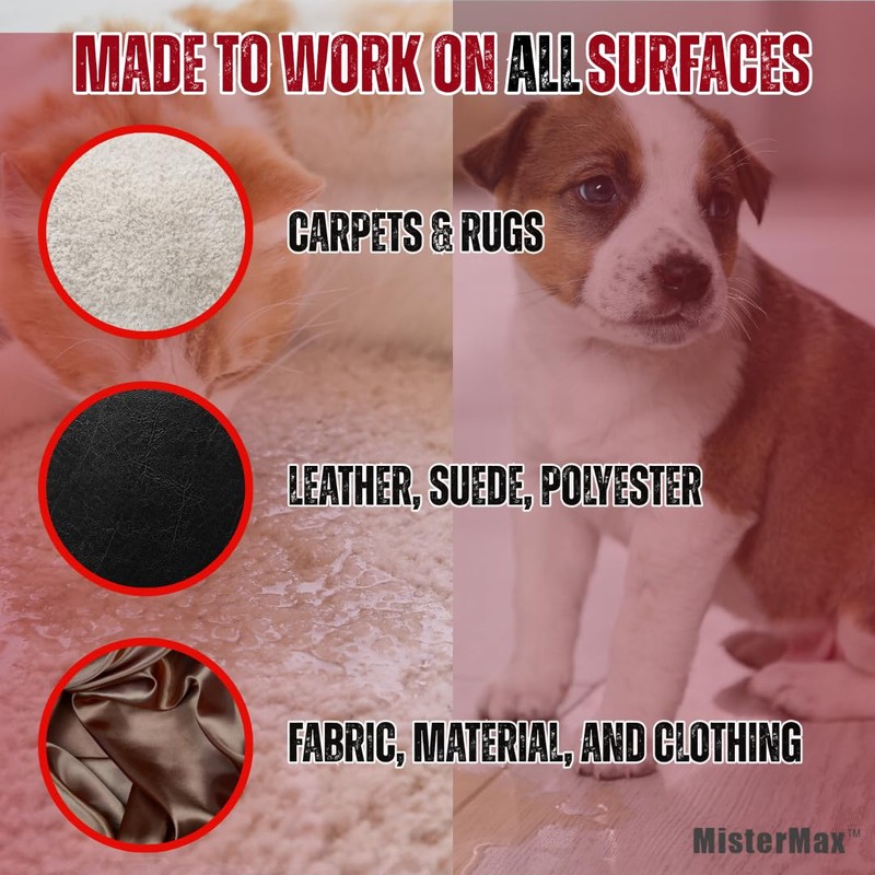 Mister Max Original Scent Anti Icky Poo Odor Remover, Gallon