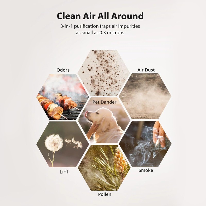 2 Pack True HEPA Replacement Filter for HIMOX H06 &