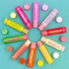 Lip Smacker Original & Best 10 Piece Lip Balm Party